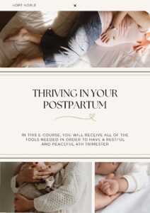Thriving in postpartum ebook