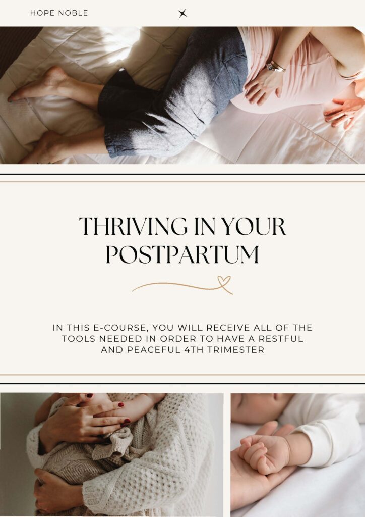 Thriving in postpartum ebook