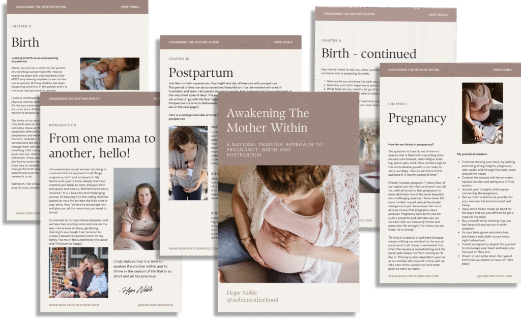 Free noble motherhood guide for new mothers